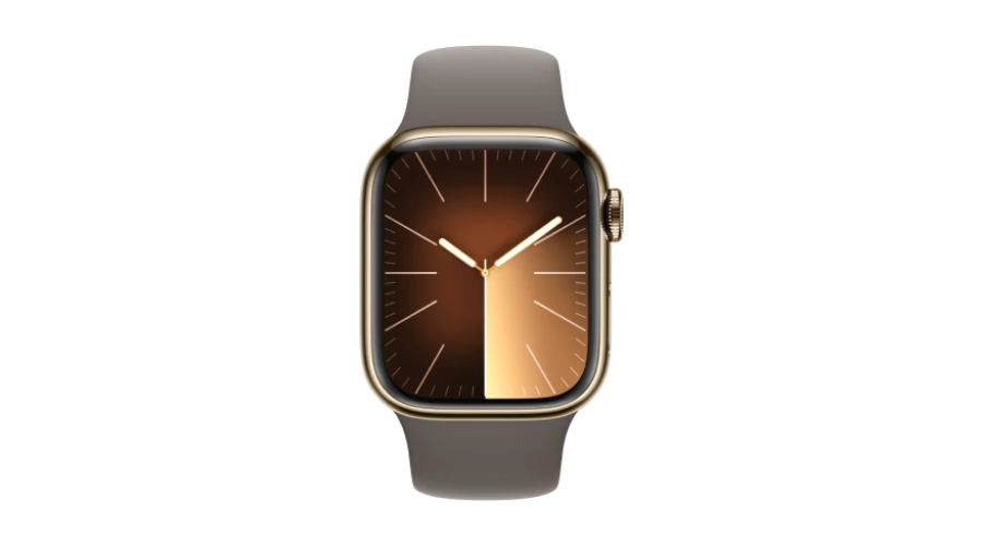 Apple Watch Series 9 Stainless Steel Case | Nowandlive
