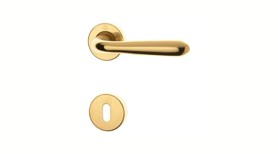 Gold Polished Door Handle 