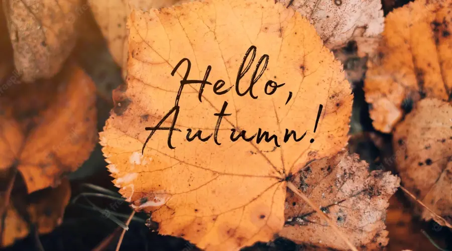Autumn September to November | Nowandlive