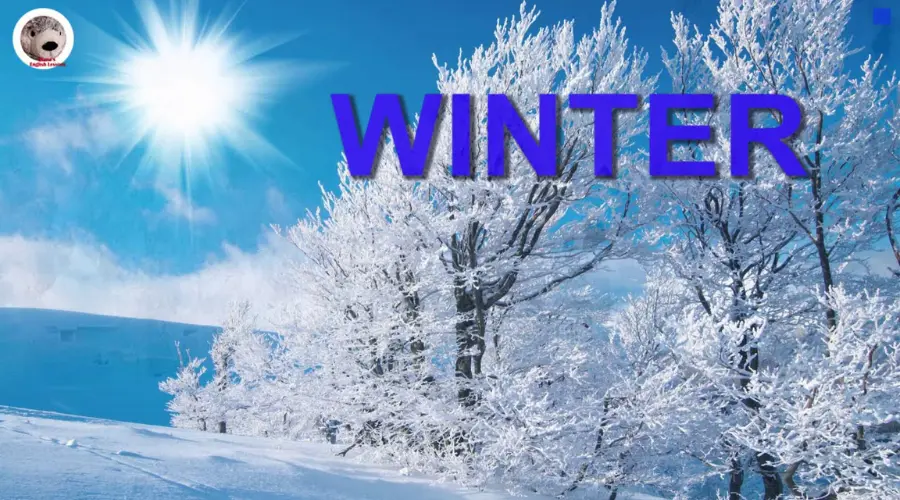 Winter December to February | Nowandlive
