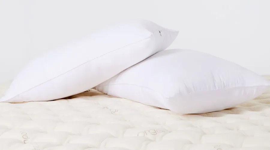Saatva’s Down Alternative Pillow
