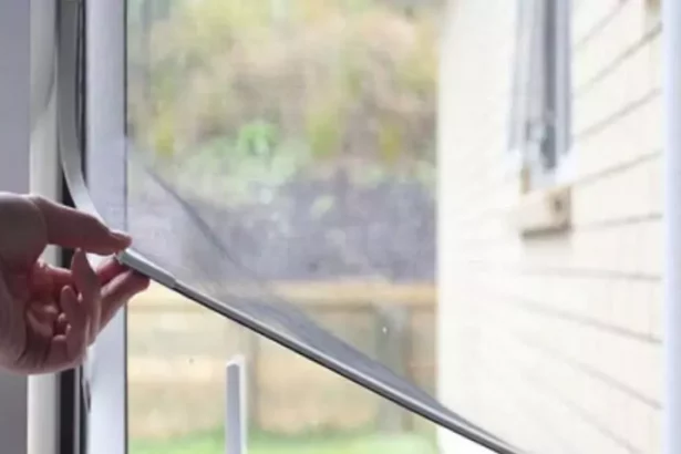 Magnetic mosquito net