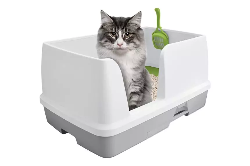 Cat litter tray