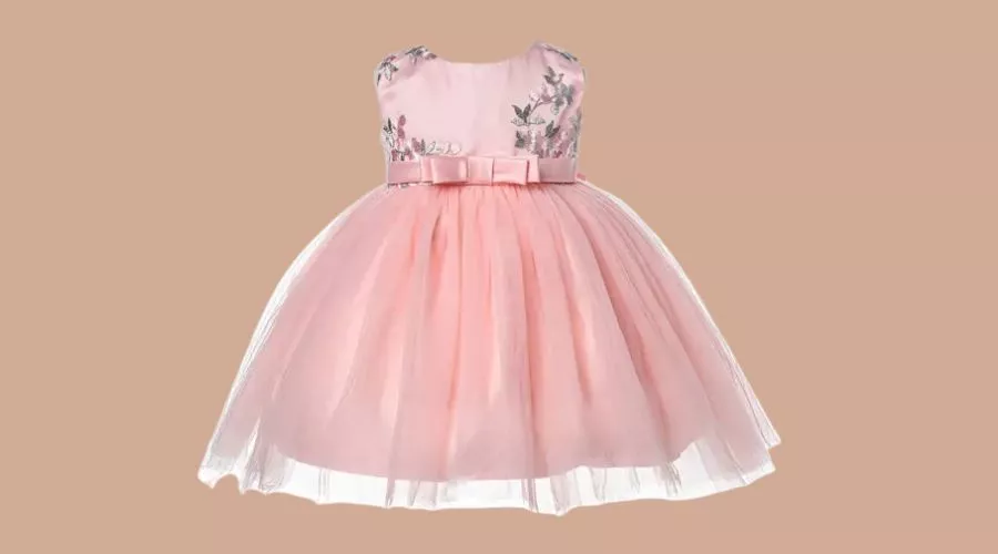 Cinda Embroidered Floral Party Dress